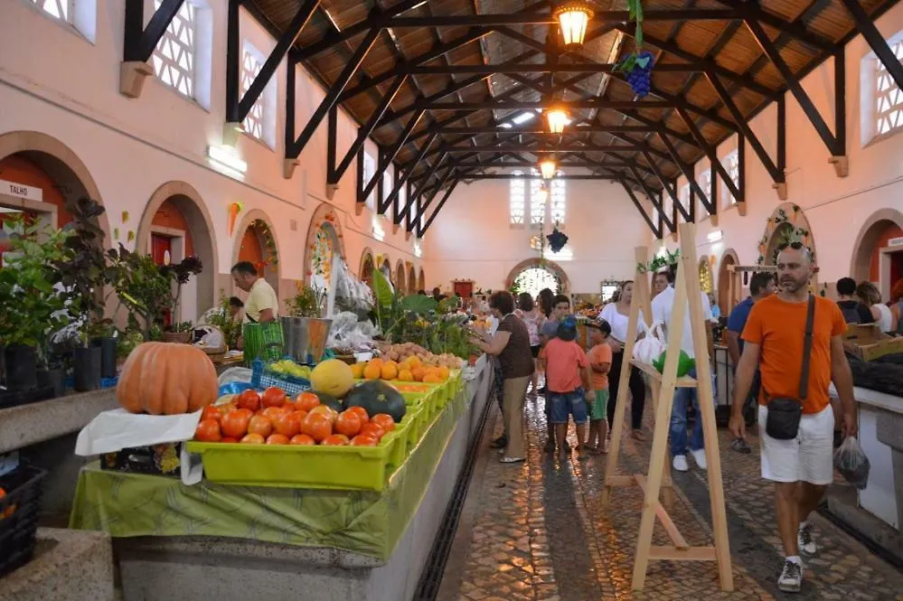 Prázdninový dům Vila Casa Pelourinho Silves Portugalsko